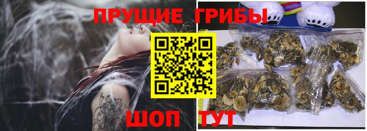 Псилоцибиновые грибы Magic Shrooms Сергиев Посад