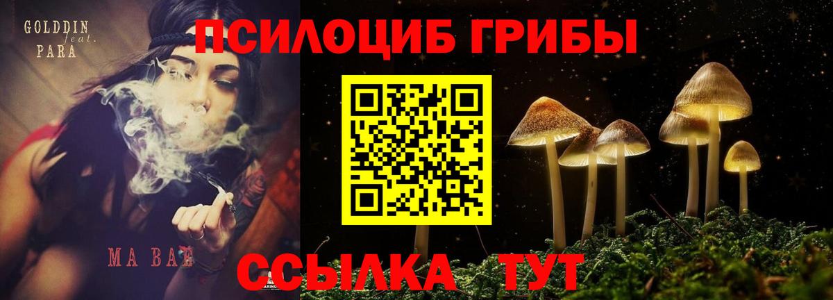 Сергиев Посад  Галлюциногенные грибы Psilocybe  Галлюциногенные грибы Magic Shrooms  Вход с VPN 